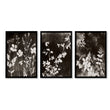 Brown Painting Botanical Wild Botanicals Dark Tonal Wall Art Prints | Set of 3