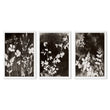 Brown Painting Botanical Wild Botanicals Dark Tonal Wall Art Prints | Set of 3