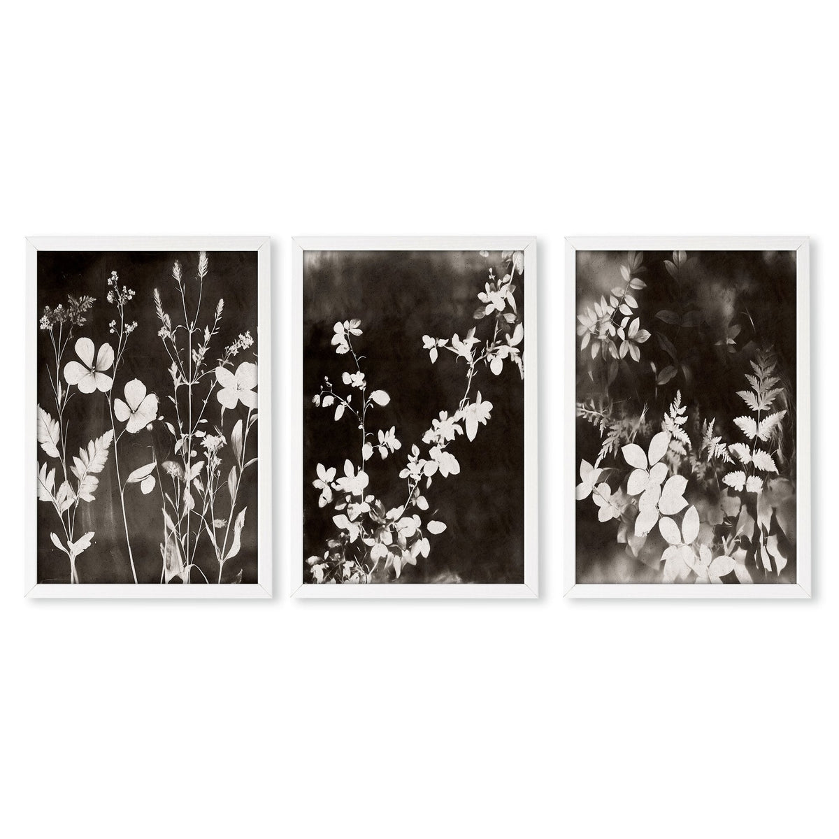 Brown Painting Botanical Wild Botanicals Dark Tonal Wall Art Prints | Set of 3