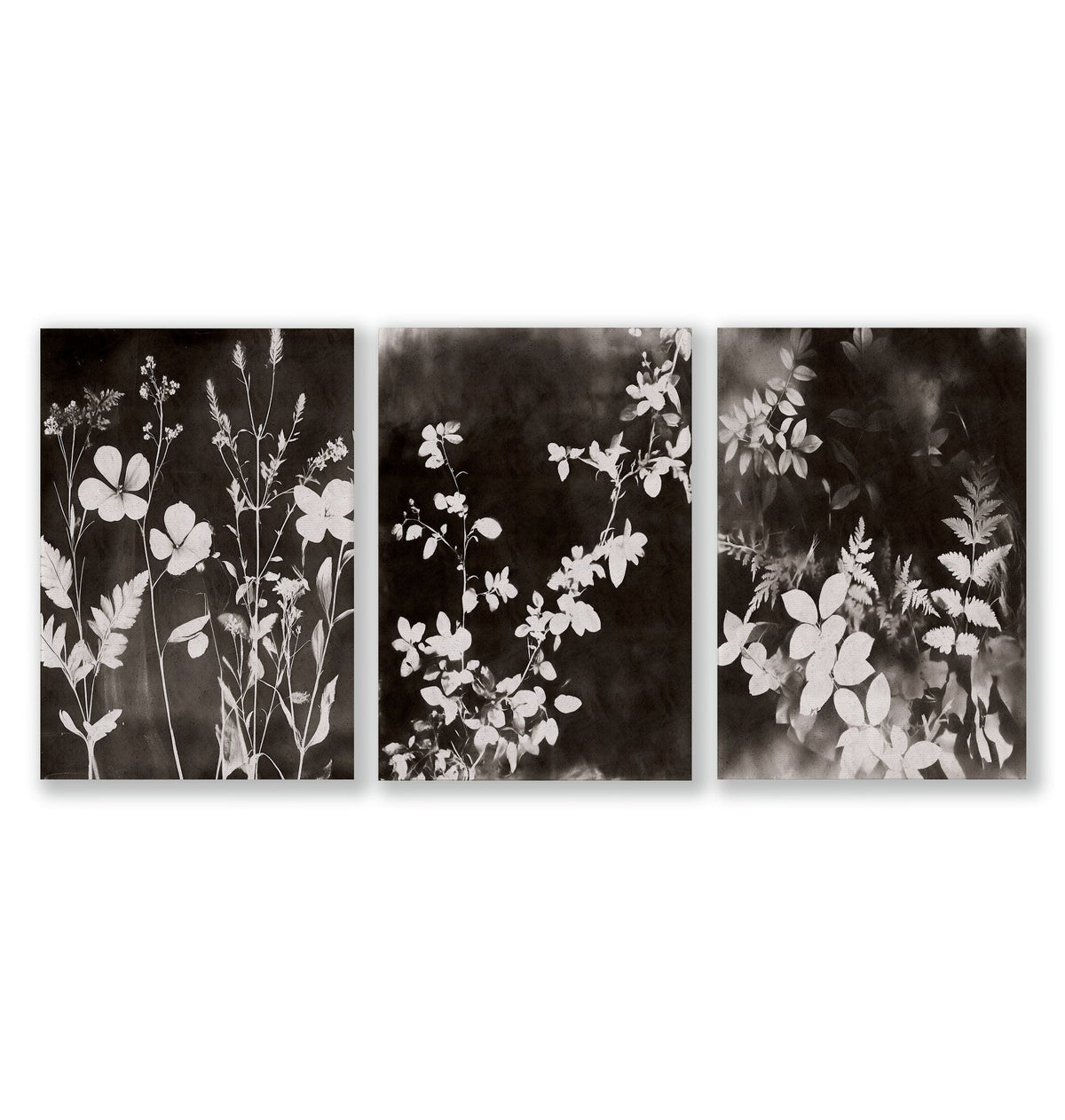 Brown Painting Botanical Wild Botanicals Dark Tonal Wall Art Prints | Set of 3