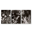 Brown Painting Botanical Wild Botanicals Dark Tonal wall art as a wrapped canvas