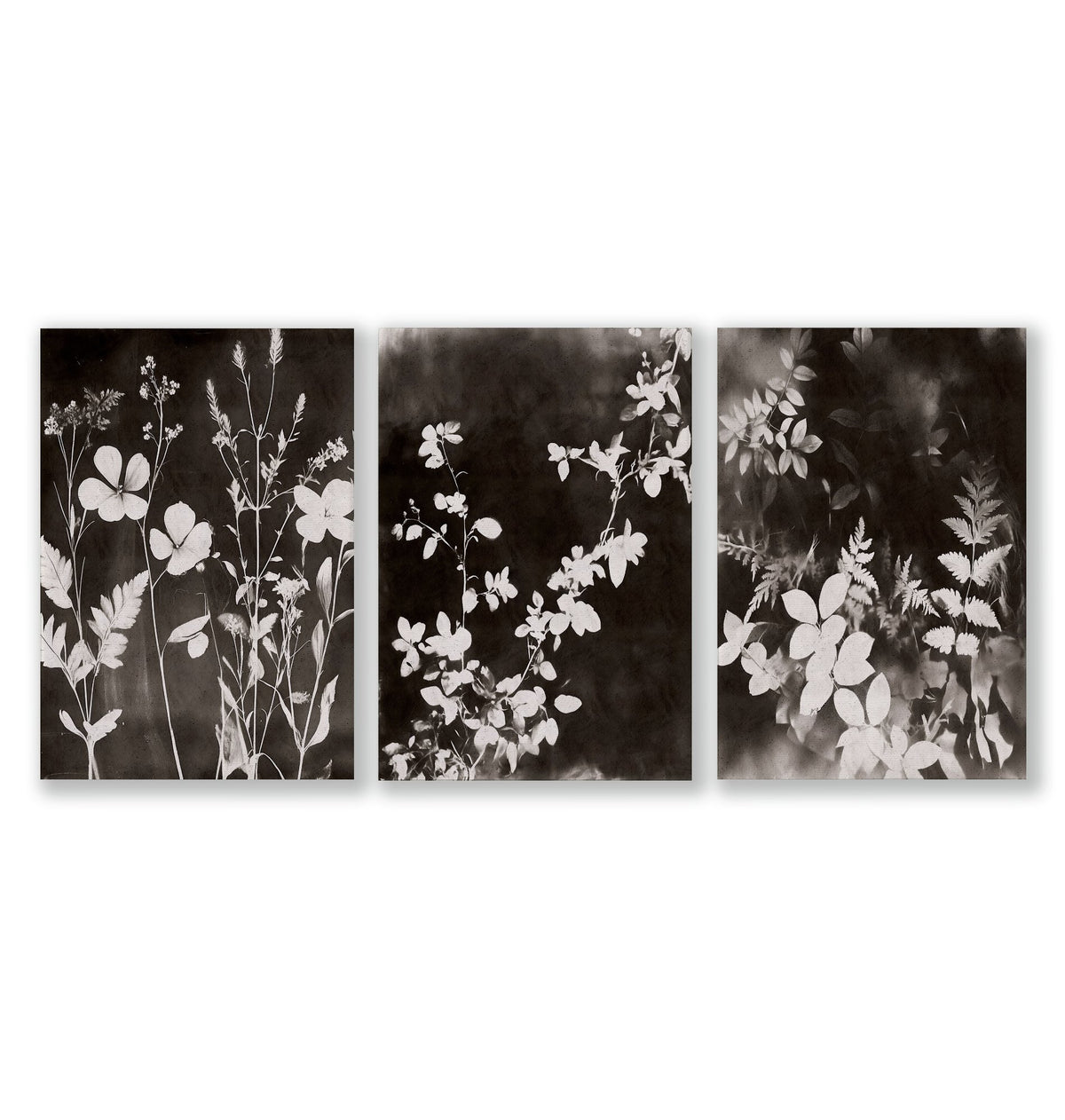 Brown Painting Botanical Wild Botanicals Dark Tonal wall art as a wrapped canvas