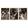 Brown Painting Botanical Wild Botanicals Dark Tonal wall art in an oak frame