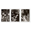 Brown Painting Botanical Wild Botanicals Dark Tonal wall art in a white frame
