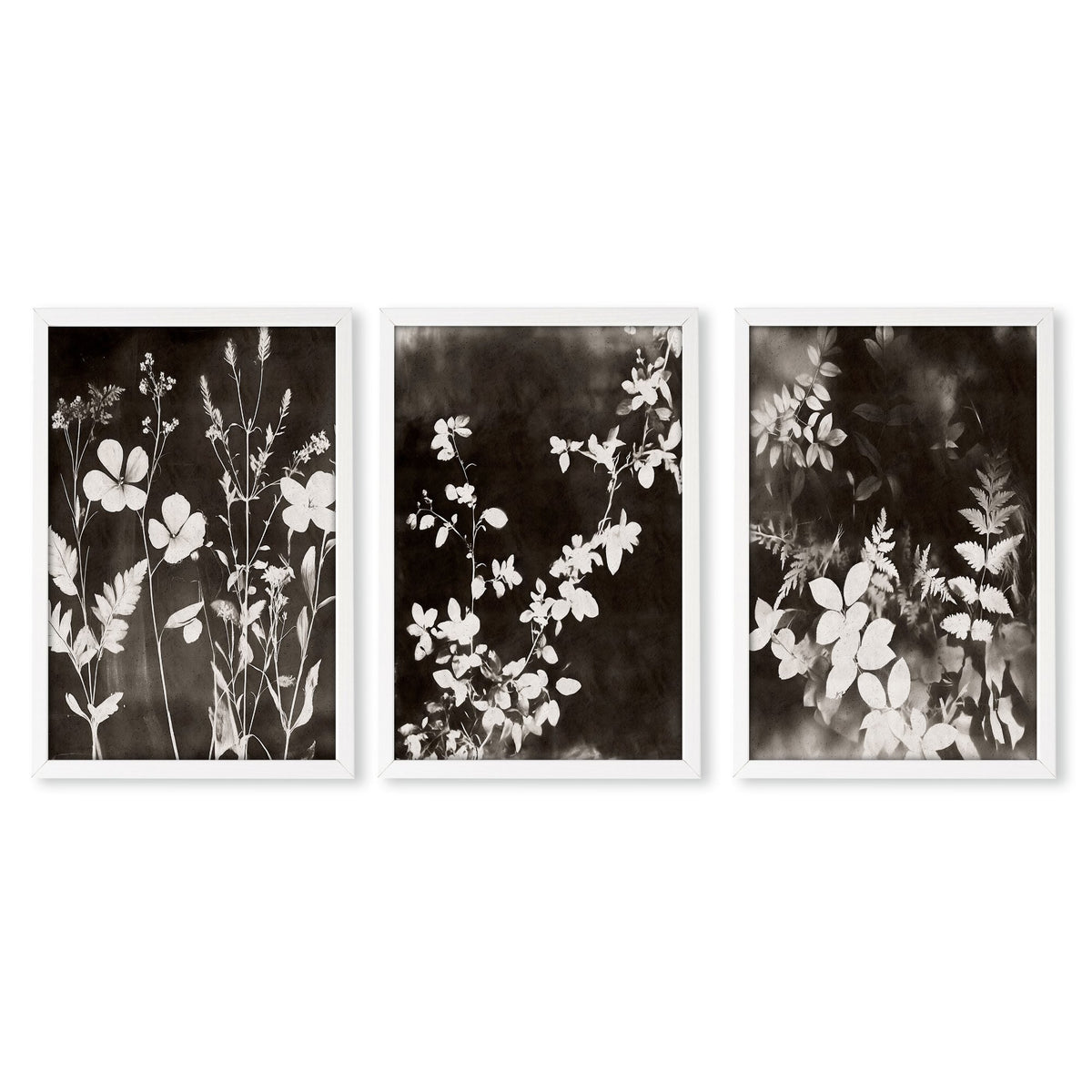 Brown Painting Botanical Wild Botanicals Dark Tonal wall art in a white frame