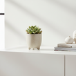 Calcita Small Planter
