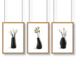Canvas Framed Wall Art | Set of 3 Botanical Wall art Prints
