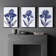 Canvas Pictures For Walls | Set of 3 Botanical Wall art Prints