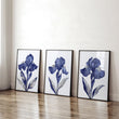 Canvas Pictures For Walls | Set of 3 Botanical Wall art Prints