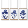Canvas Pictures For Walls | Set of 3 Botanical Wall art Prints