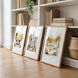 Canvases for Living Room 