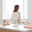 Clara Rose Gold LED Table Mirror