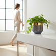 Cyrus Grey and Gold Finish Planter