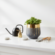 Cyrus Grey and Gold Finish Planter