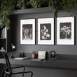 Dark Brown Wall Art Botanical Wildflowers & Blossom Tree wall art displayed on a wall in a styled room