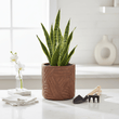 Darnell Brown Planter With Angular Legs
