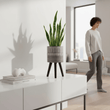 Darnell Small Black And White Finish Planter