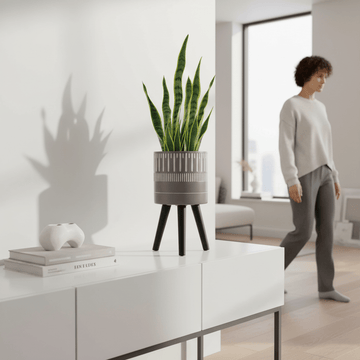 Darnell Small Black And White Finish Planter