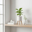 Darnell Small White Planter