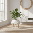 Darnell White Multifaceted Planter