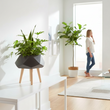Darnell BlackMultifaceted Planter - 22cm