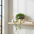 Darnell BlackMultifaceted Planter - 22cm