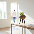 Darnell Natural And Black Tapered Planter