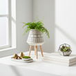 Darnell White And Black Large Planter