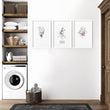 Decorative Laundry Room Accessories | Set of 3 wall art prints