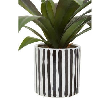 Fiori Agave In Ceramic Pot