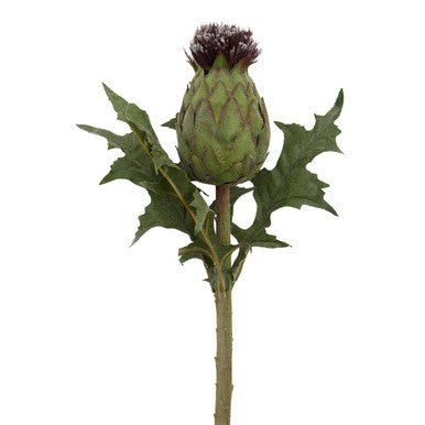 Fiori Artificial flowers 56cm Green And Purple Thistle Stem