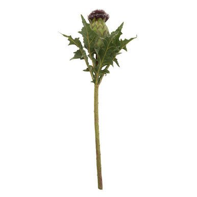 Fiori Artificial flowers 56cm Green And Purple Thistle Stem