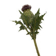 Fiori Artificial flowers 56cm Green And Purple Thistle Stem