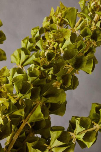 Fiori Artificial flowers Bells of Ireland Stem