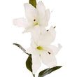 Fiori Artificial flowers Cream Lily Stem