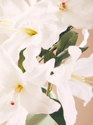 Fiori Artificial flowers Cream Lily Stem