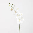 Fiori Artificial flowers Cream Orchid Stem