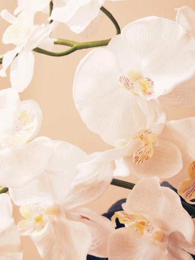 Fiori Artificial flowers Cream Orchid Stem