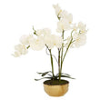 Fiori Artificial flowers White Orchid Plant in Gold Pot
