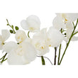 Fiori Artificial flowers White Orchid Plant in Gold Pot