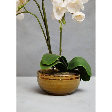 Fiori Artificial flowers White Orchid Plant in Gold Pot