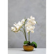 Fiori Artificial flowers White Orchid Plant in Gold Pot