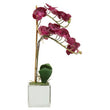 Fiori Aubergine Orchid Plant