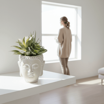 Fiori Buddha Pot Mixed Succulent