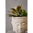 Fiori Buddha Pot Mixed Succulent