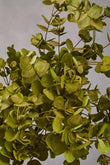 Fiori Faux Eucalyptus Spray Stem