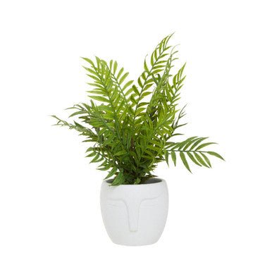 Fiori Fern
