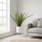 Fiori Fern In White Ceramic Pot With Iron Stand