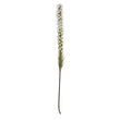 Fiori Grey Feather Stem