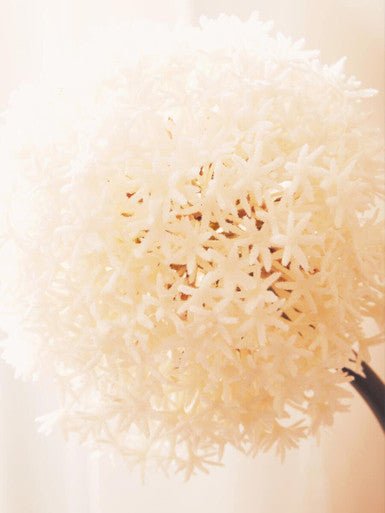 Fiori Ivory Faux Allium Stem